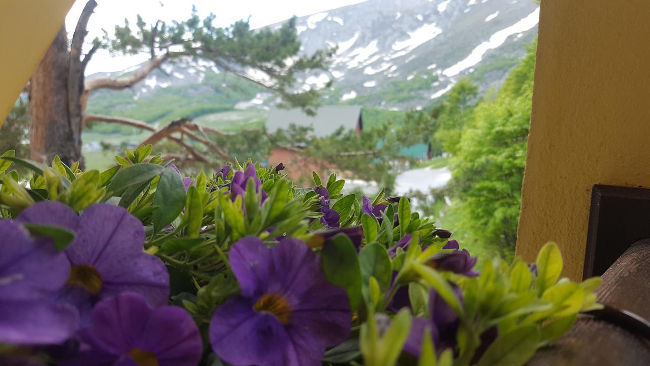 Guest House Tiha Noc Žabljak Dış mekan fotoğraf