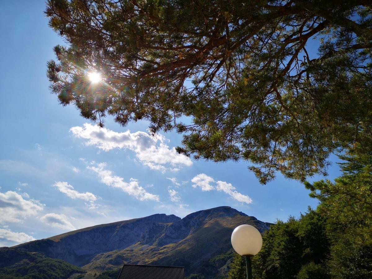 Guest House Tiha Noc Žabljak Dış mekan fotoğraf